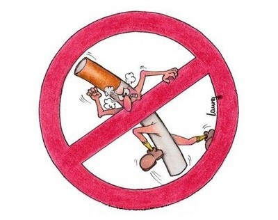 tipos de tabaco  e  os  seus componentes 